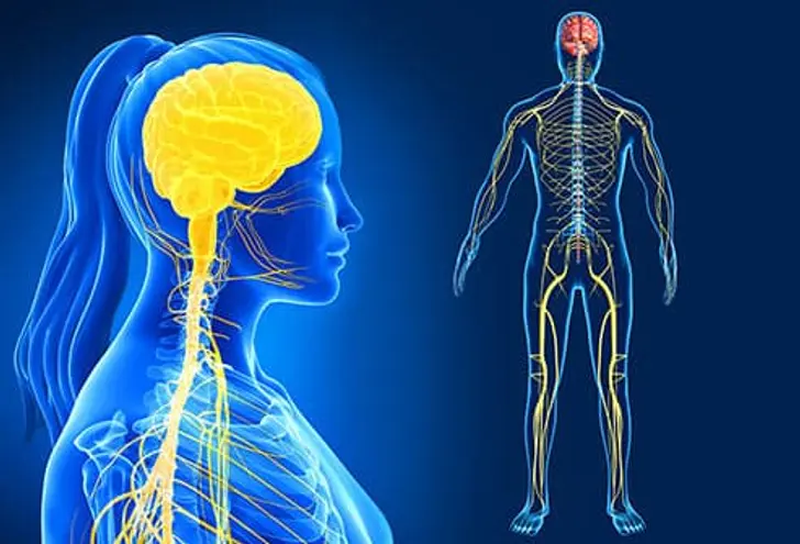 10 Kebiasaan yang Membantu Menenangkan Sistem Saraf